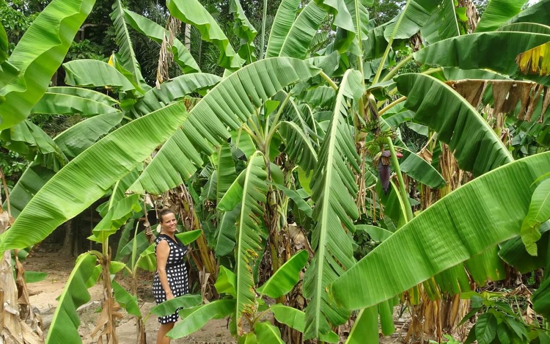 Pat in haar tuin in Ghana