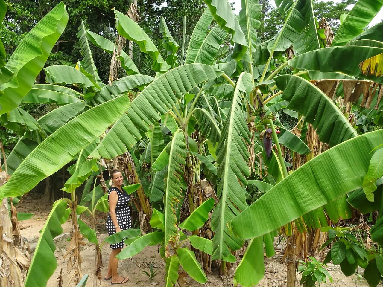 Pat in haar tuin in Ghana